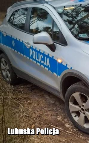 [VIDEO] Dwóch policjantów w szpitalu. Pijany kierowca rozbił busa o radiowóz. Policyjny pościg w oku kamery