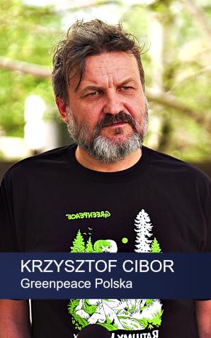 [VIDEO] Greenpeace: Prawie 6 tys. ciężarówek pełnych drzew wyjeżdża codziennie z polskich lasów. Wycinki trwają tam, gdzie nie wolno