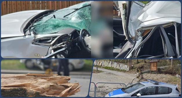 Tragiczne skutki silnych porywów wiatru halnego w Zakopanem. Nie żyje 5 osób, w tym dwoje dzieci